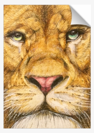 The Regal Lion Roar Of Freedom - Lion