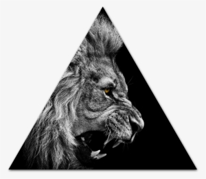Lion Roar Wallpaper High Quality - Laptop Wallpapers Black And White