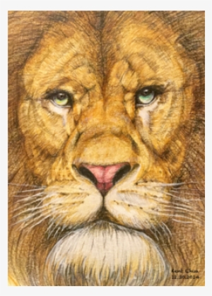 The Regal Lion Roar Of Freedom - Lion