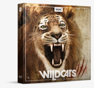 The Biggest Lion And Tiger Sound Library To Date - Sound Ideas Wildcats-lions & Tigers Sound Effects