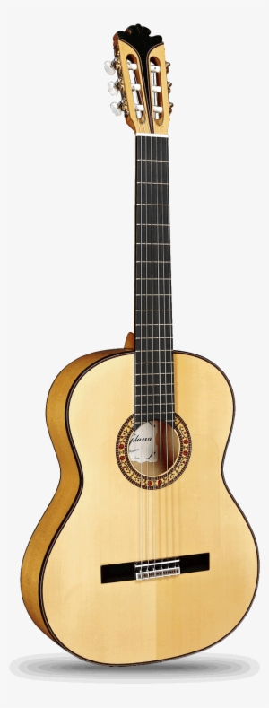 Signature Guitars - - Spain Guitar