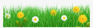 Vector Freeuse Stock And Flowers Transparent Png Clip - Clip Art