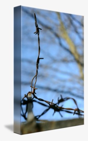 Spine Barbed Wire Png - Barbed Wire