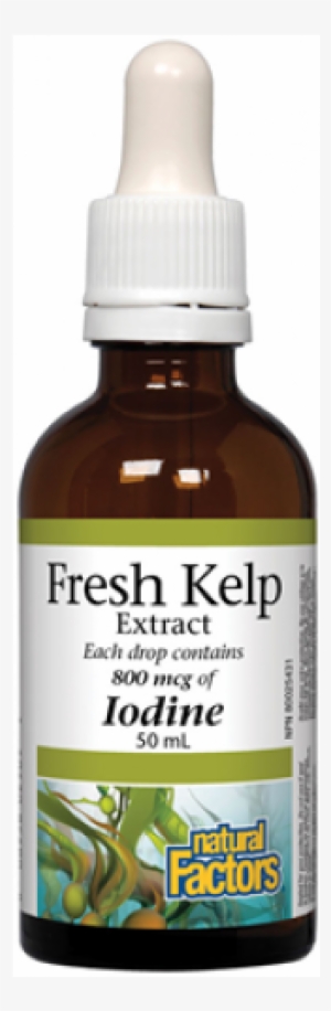 Natural Factors - Liquid Kelp 800 Mcg. - 1.6 Fl. Oz.