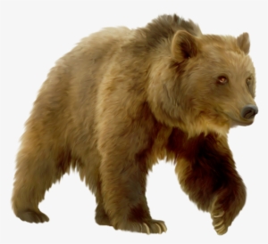 Дикие Животные Фото На Прозрачном Фоне - Клипарт Медведь На Прозрачном Фоне