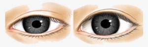 Real Eye Png Clipart - Real Eye Png