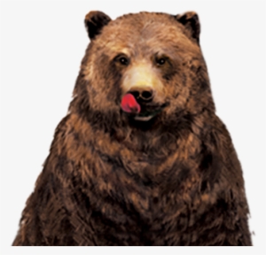Hungry Bear Character - Hungry Bear Png
