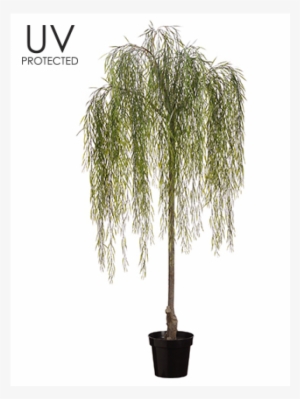 74" uv protected willow tree in plastic pot green - willow tree in pot