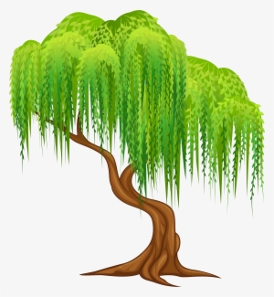 Weeping Willow Tree Clipart