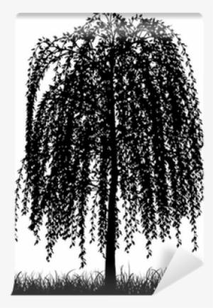 Weeping Willow Tree Silhouette