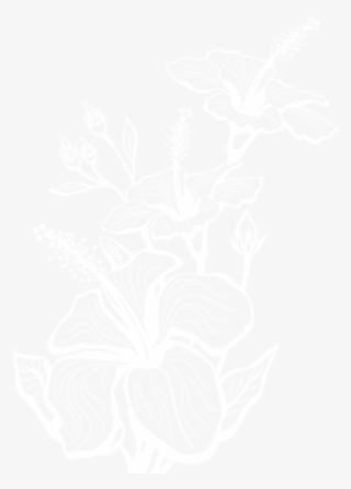 Download Floral Decoration Transparent Clipart Png