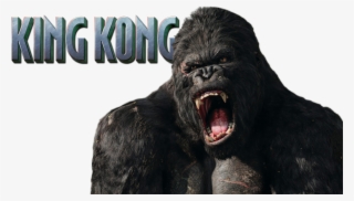 king kong image