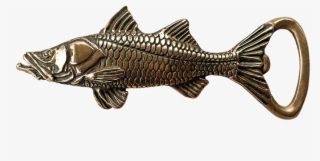 Snook Buckle