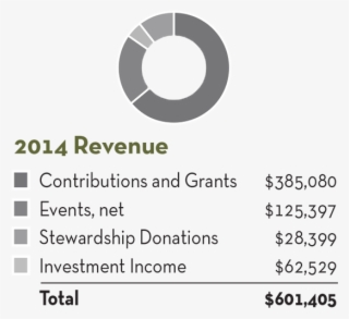 2015-revenue