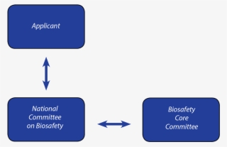 The Regulatory Process Of Importation Of Lmos Applications