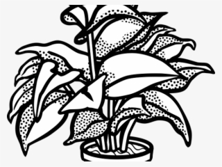 Potted Plants Clipart Drawn