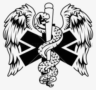 Image Result For Ems Flight Wings