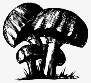 Drawing Trippy Mushroom
