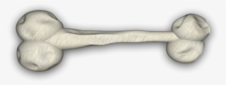 Bone 2 4e