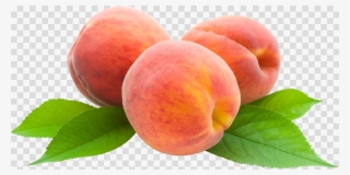 Peach Clipart Png