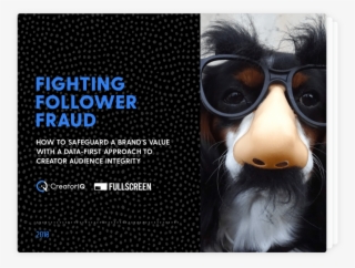 Fighting Follower Fraud