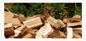 Call Today For The Tree Removal Service That Protects - Wood