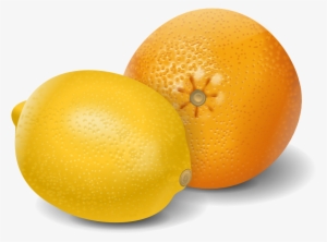Lemon Orange Fruits Clipart - Lemon And Orange Clip Art