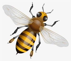 Bee Clipartbeesbee - 蜜蜂