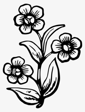 How To Draw A Wildflowers - Big Pretty Flower Drawing
