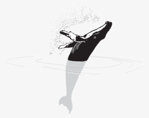 Design - Illustration