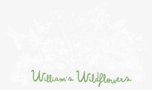 William's Wildflowers - New York City