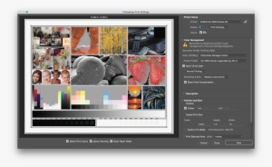 P800 Mac Photoshop Manages Colors Settings - Matte P800 Settings Photoshop