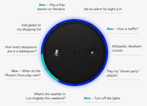 You Just Say The 'wake Word', “alexa”, Then Give A - Amazon Alexa Questions