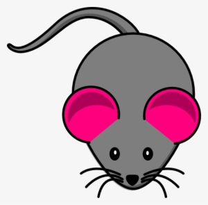Ear Gray Mouse