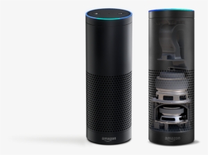 Amazon Echo - Parts Of Alexa Echo