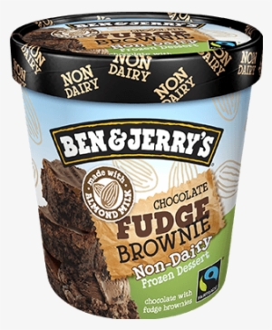 Ben & Jerry's Ice Cream - Ben And Jerry's Chocolate Brownie Vegan