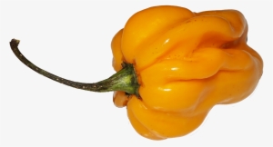 Yellow Chili - Chili Png