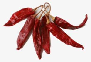 Types Of Indian Red Dry Chilli