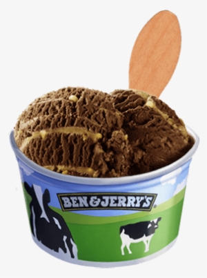 Chocolate Peanut Buttery Swirl - Chip Off The Dough Block Ben And Jerry's