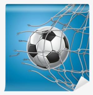 A Soccer Ball In A Net - Soccer Goal.
