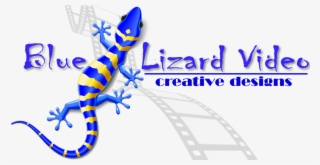 By Blue Lizard Video