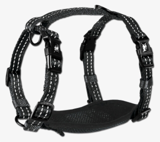 Adventure Harnesses