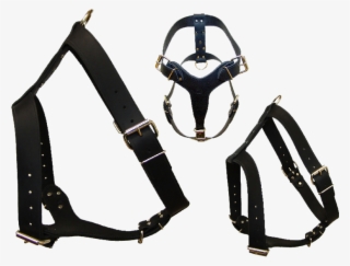 Harness Png