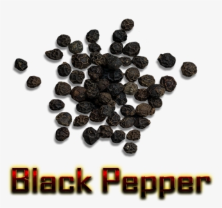 Pepper Png