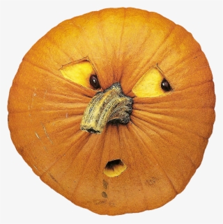 Sympathetic Pumpkin Reacts To A Poorly Carved Friend