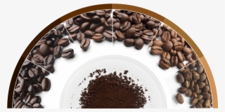 Coffee Flavour Wheel