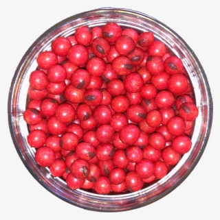 L650 Soybean Seeds