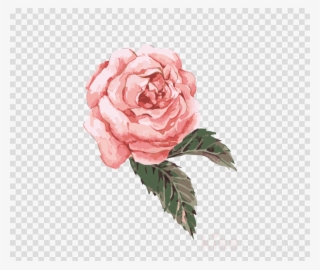 Flower Watercolor Painting Png Clipart Watercolor