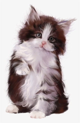 6090083 Cat4 Cat Gif, Cute Cats, Kittens Cutest, I