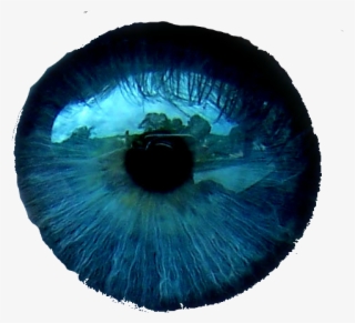 Ojos Azules Png